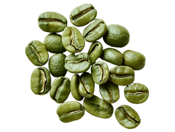Green Coffee Caffeine