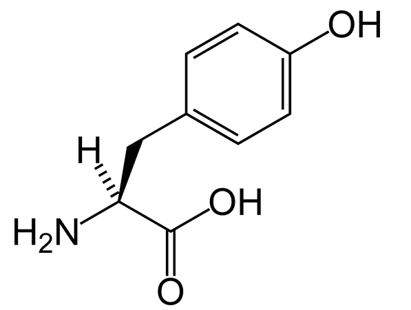 L-Tyrosine